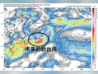 台风路径实时发布图（最新台风路径图实时）
