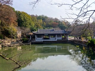 冬天去哪里旅游合适（冬天去哪里旅游合适）