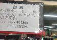45-65岁大龄工招工，用工新蓝海，价值再发现