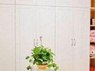自动更新天气预报下载，让天气信息主动跑进你的生活