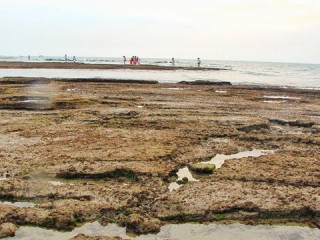 夏天去哪旅游最合适，逃离酷暑，寻找23℃的清凉夏天