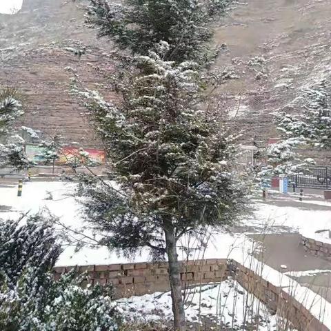 河北邢台天气（河北邢台天气预报30天查询结果）