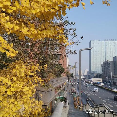 四川成都未来15天天气(十月一日成都天气预报) 四川成都未来15天天气(十月一日成都天气预报)
