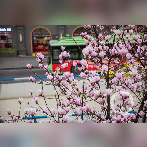 重庆云阳天气预报（重庆云阳天气预报说）
