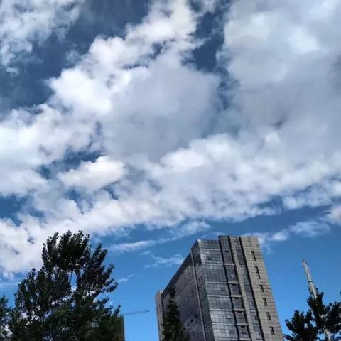 合肥天气预报40天(合肥天气预报40天准确一览表) 合肥天气预报40天(合肥天气预报40天准确一览表)