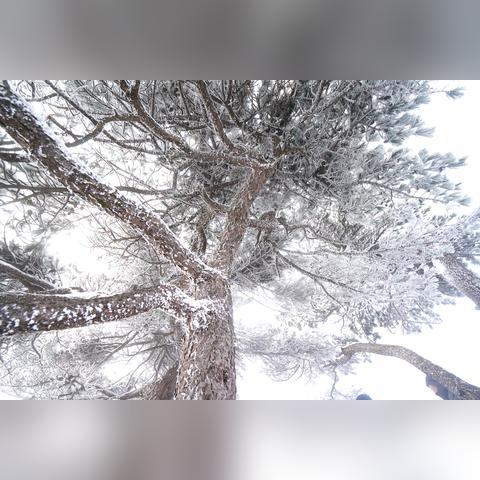 合肥天气预报40天(合肥天气预报40天准确一览表) 合肥天气预报40天(合肥天气预报40天准确一览表)