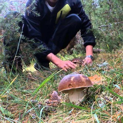 河南未来15天天气,晴雨交替,冷暖起伏,请提前做好应对 河南未来15天天气,晴雨交替,冷暖起伏,请提前做好应对