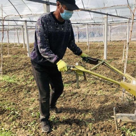 即墨天气官方下载，精准掌握城市气象，开启智慧生活新体验
