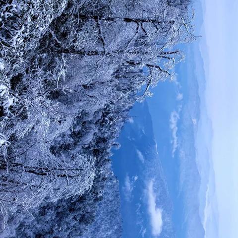 乐山天气预报15天,从容规划每一天的山水之旅 乐山天气预报15天,从容规划每一天的山水之旅