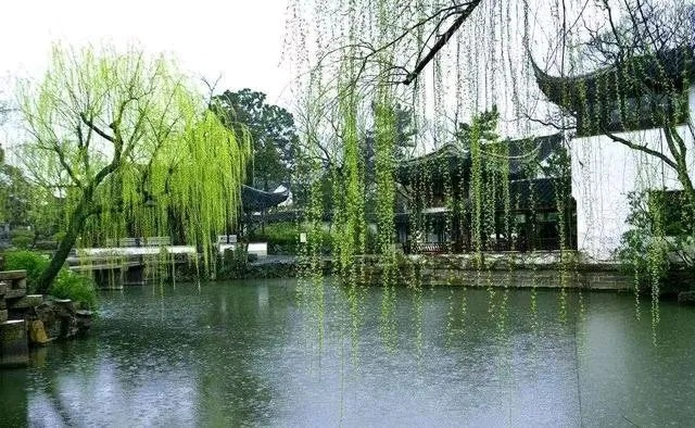 苏州一周天气展望,烟雨朦胧中,春日渐入佳境 苏州一周天气展望,烟雨朦胧中,春日渐入佳境