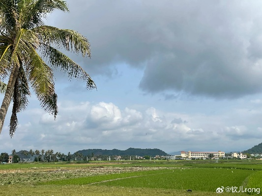 陵水的天空，藏着一封写给自己的情书