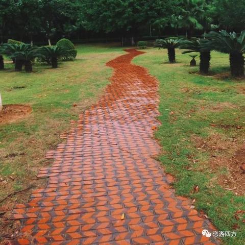 厦门天气预报一周7天，晴雨交替，出行需留意
