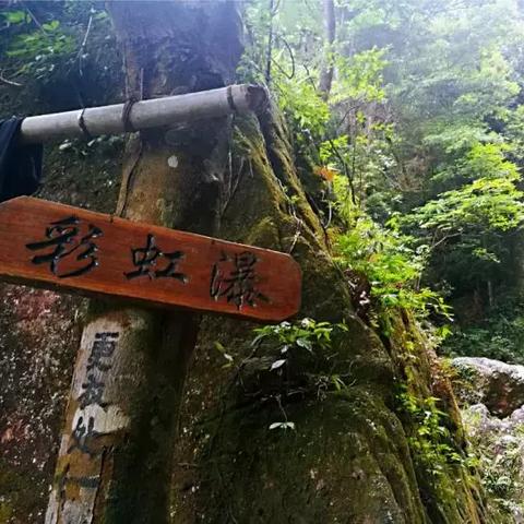 鹿寨天气预报,读懂天空的密语,守护小城的日常 鹿寨天气预报,读懂天空的密语,守护小城的日常