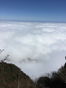 峨眉山天气,一山有四季,十里不同天 峨眉山天气,一山有四季,十里不同天