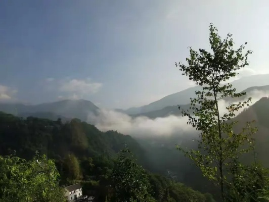 神农架天气,云雾里的变幻诗篇 神农架天气,云雾里的变幻诗篇