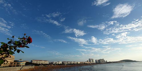 沈阳的天气，四季分明，冷暖人间