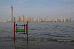 大连未来15天天气预报，海滨城市的天气过山车即将开启