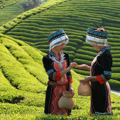 湖北天气预报,一场与天公的温柔博弈 湖北天气预报,一场与天公的温柔博弈