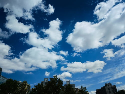 仙居天气预报,云深之处见晴雨 仙居天气预报,云深之处见晴雨