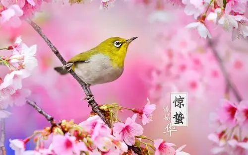 北京一周天气展望,冷暖交替,春意渐浓 北京一周天气展望,冷暖交替,春意渐浓